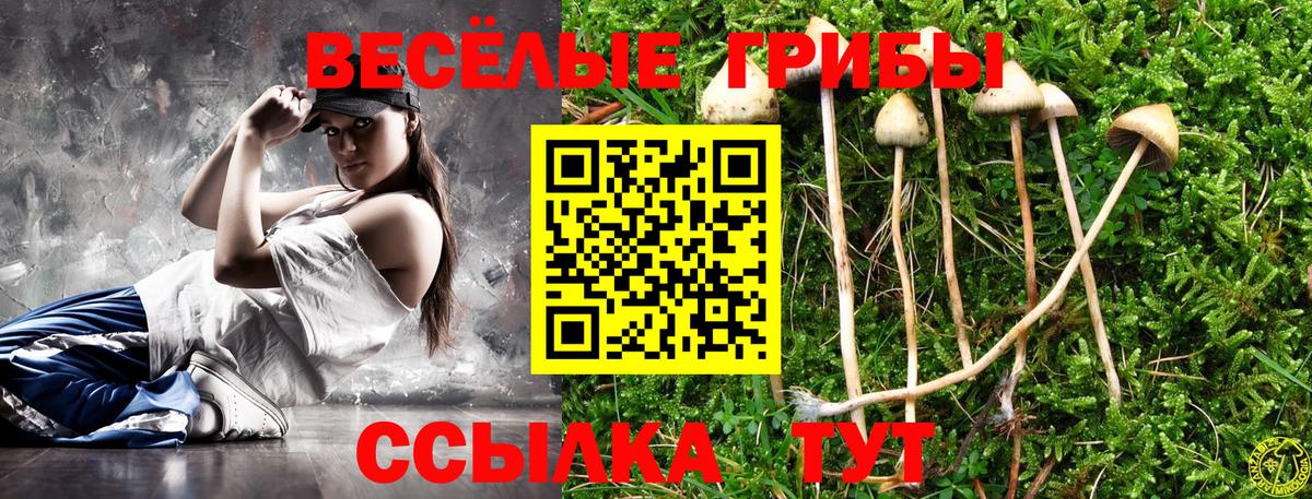 Галлюциногенные грибы Magic Shrooms Лесозаводск