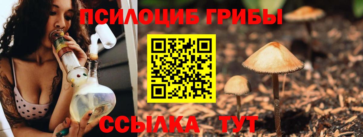 Лесозаводск  Псилоцибиновые грибы GOLDEN TEACHER  Вход с VPN  Псилоцибиновые грибы Psilocybe 